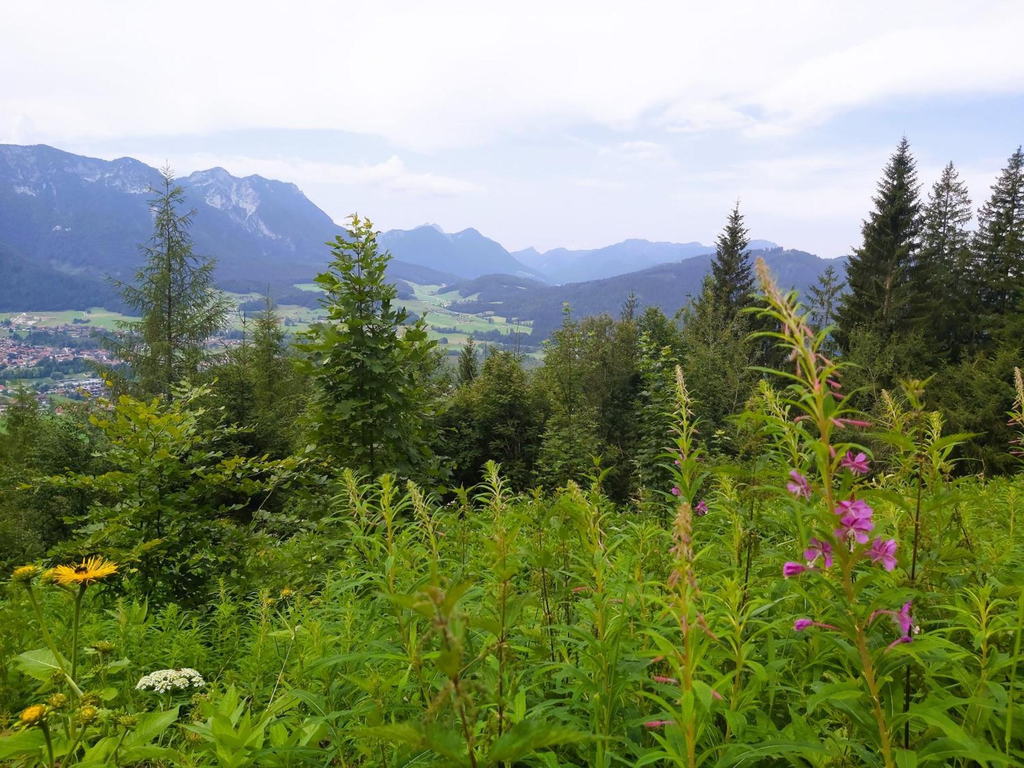 Apartment Andrea - Chiemgau Karte Инцел Екстериор снимка