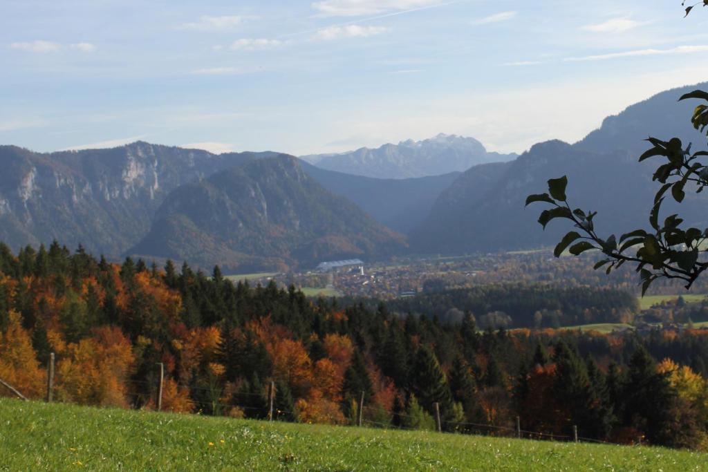 Apartment Andrea - Chiemgau Karte Инцел Екстериор снимка